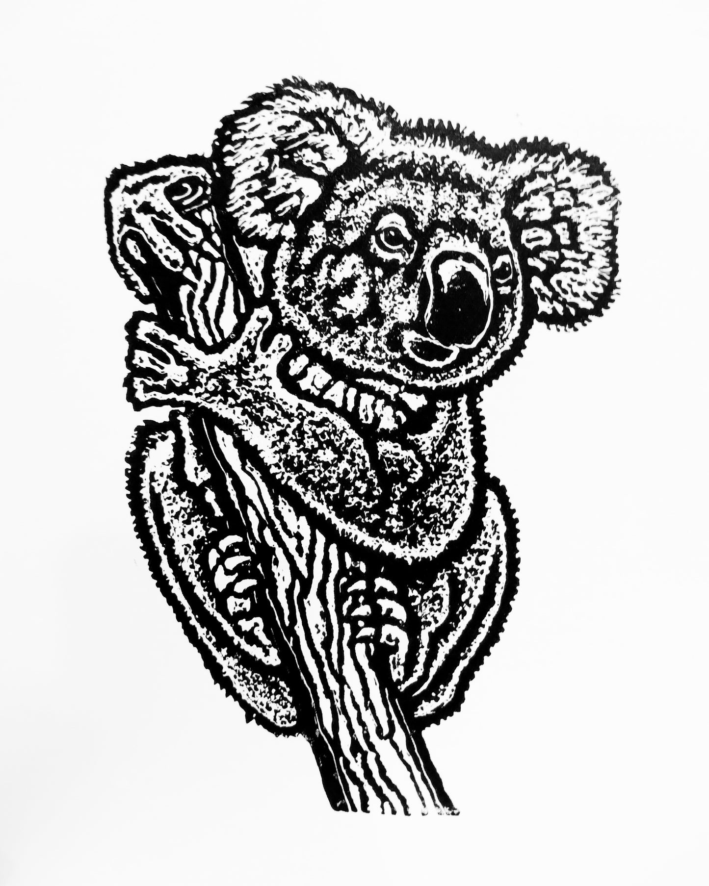 Koala