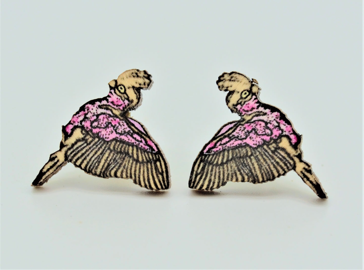 Galah studs